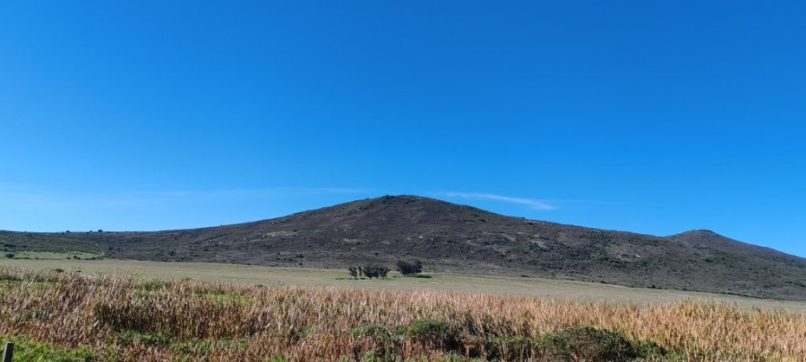 0 Bedroom Property for Sale in Darling Western Cape